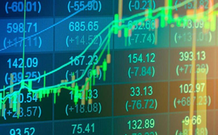 What is the reason for the growth of the insurance market in Uzbekistan this year?