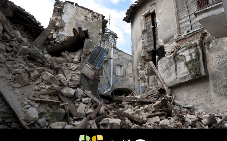 Mosaic Insurance Group: Closing the Catastrophic Risk Protection Gaps